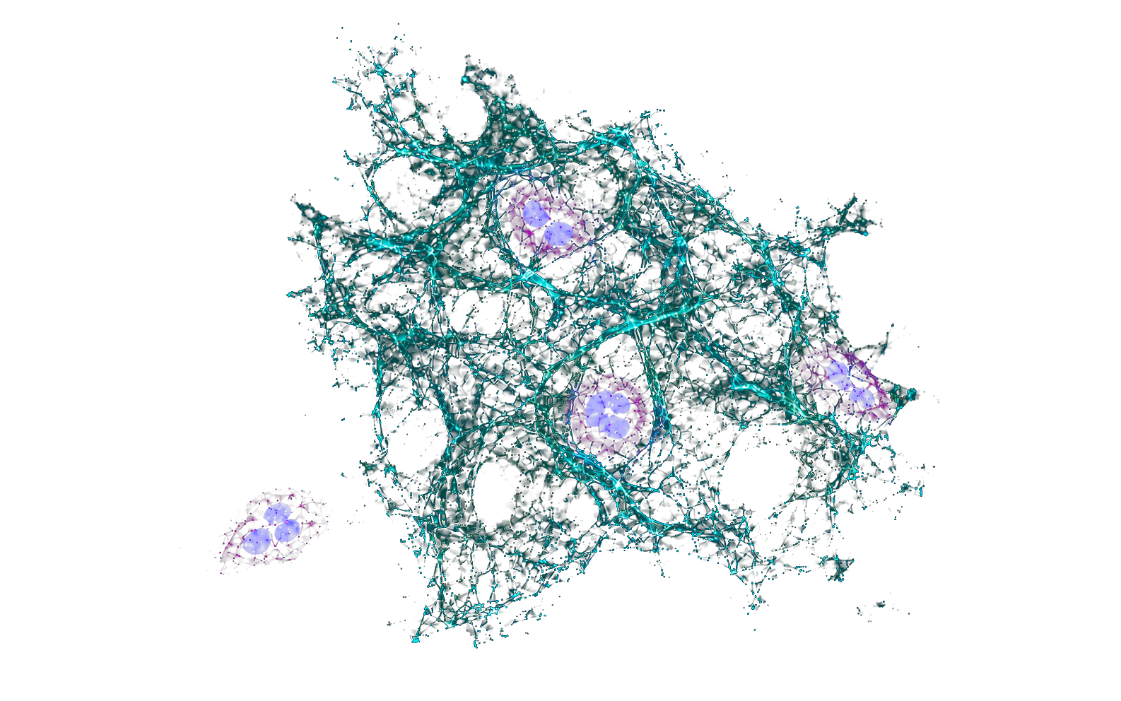 Three-dimensional extracellular DNA-trap reconstruction with associated neutrophils