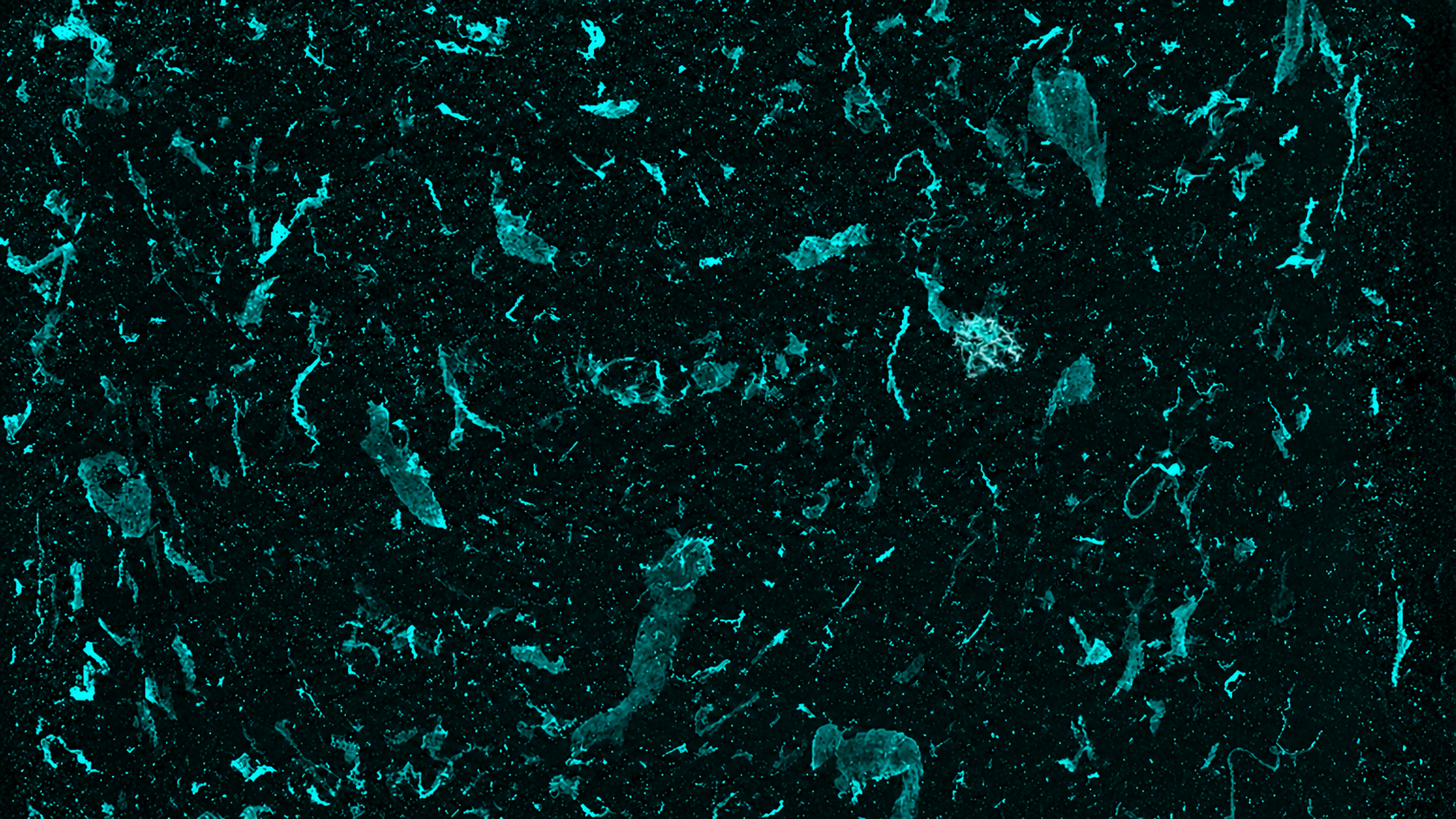Whole-gel matrix containing morphologically diverse extracellular DNA-trap events